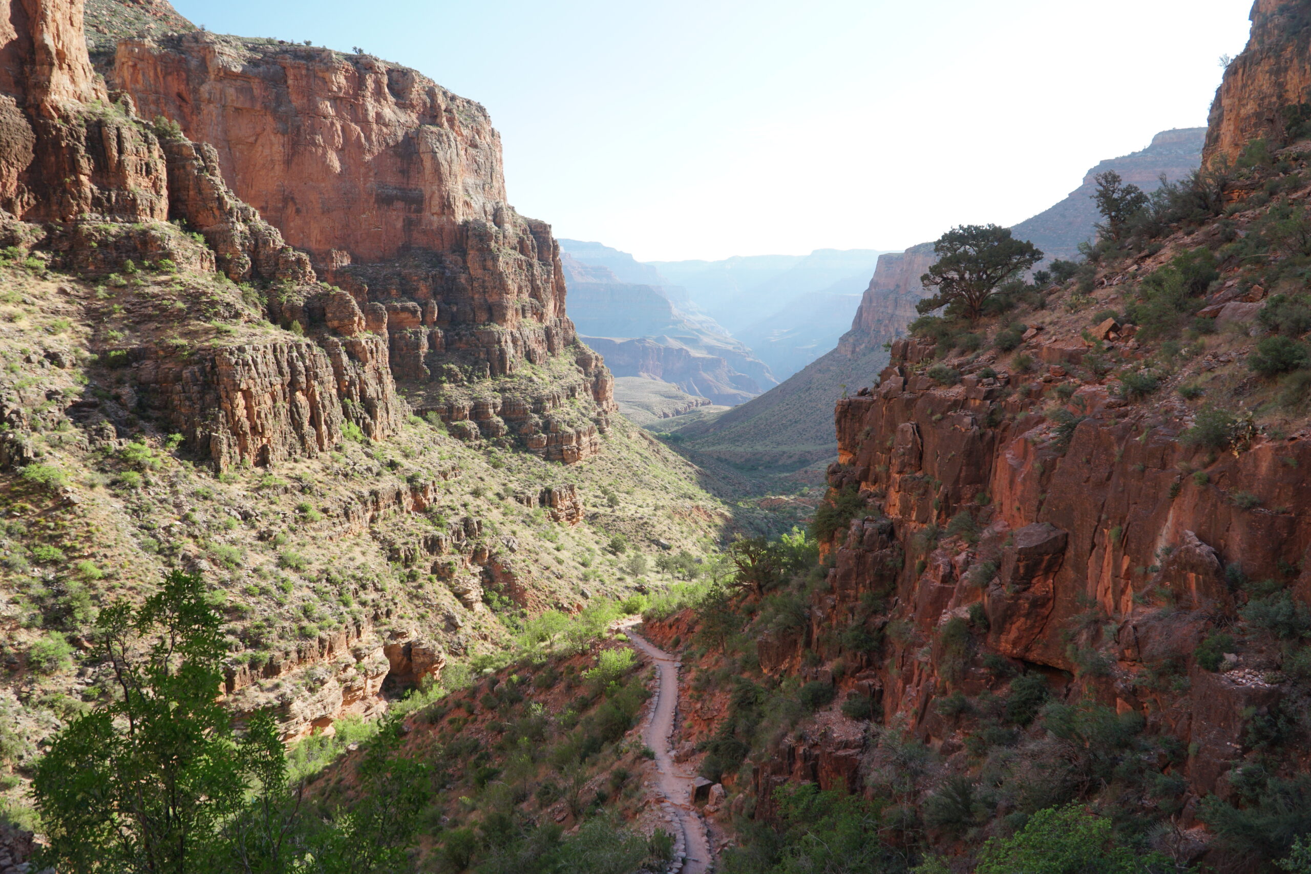 Adventure Camping Trip: Dipping into Heat of the Grand Canyon.